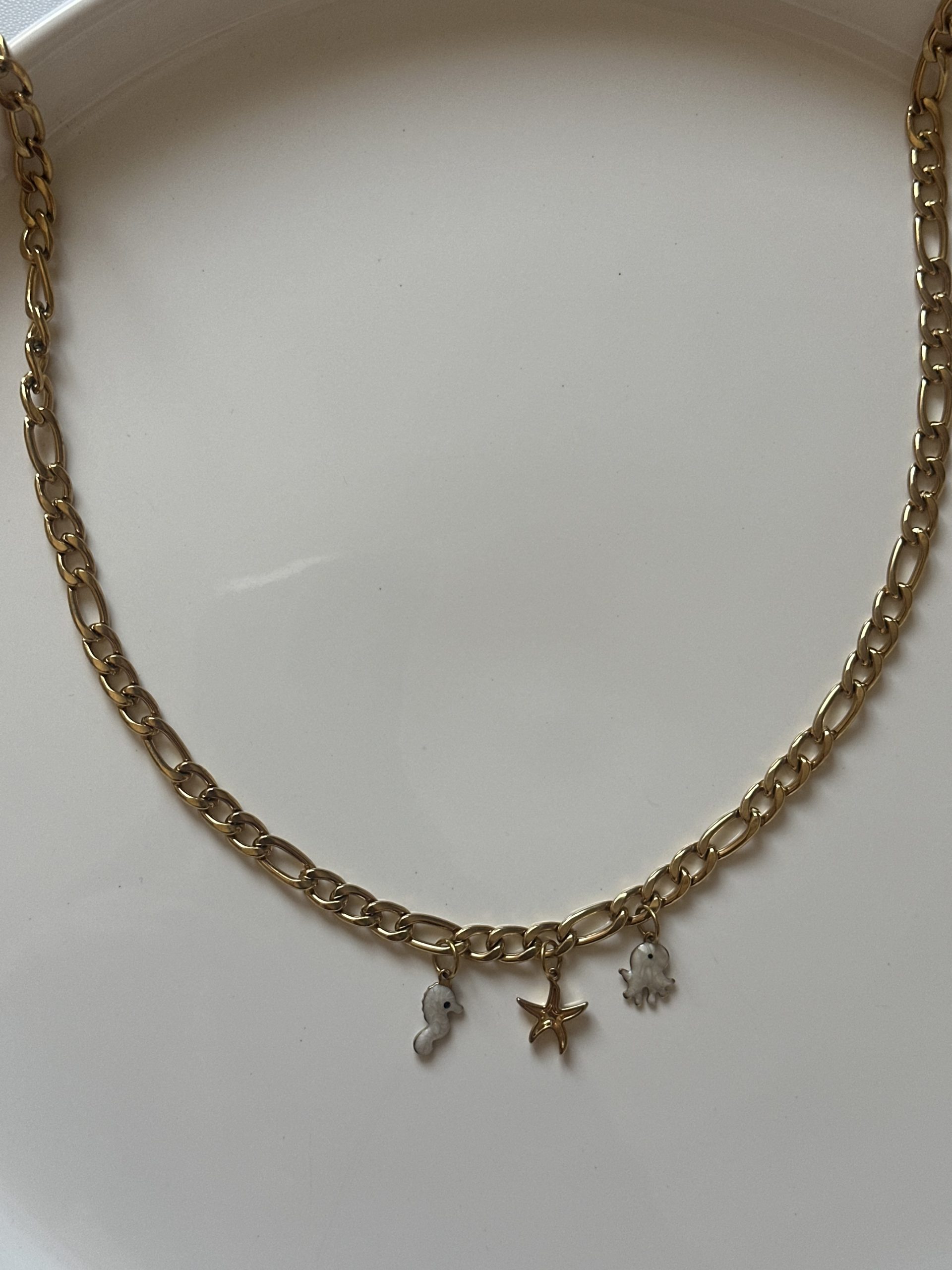 IMG_7065 گردنبند کارتیر - Image 1